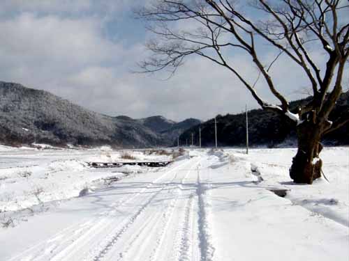 십리까지 내려가는 길은 예전과 별 변화가 없다. 